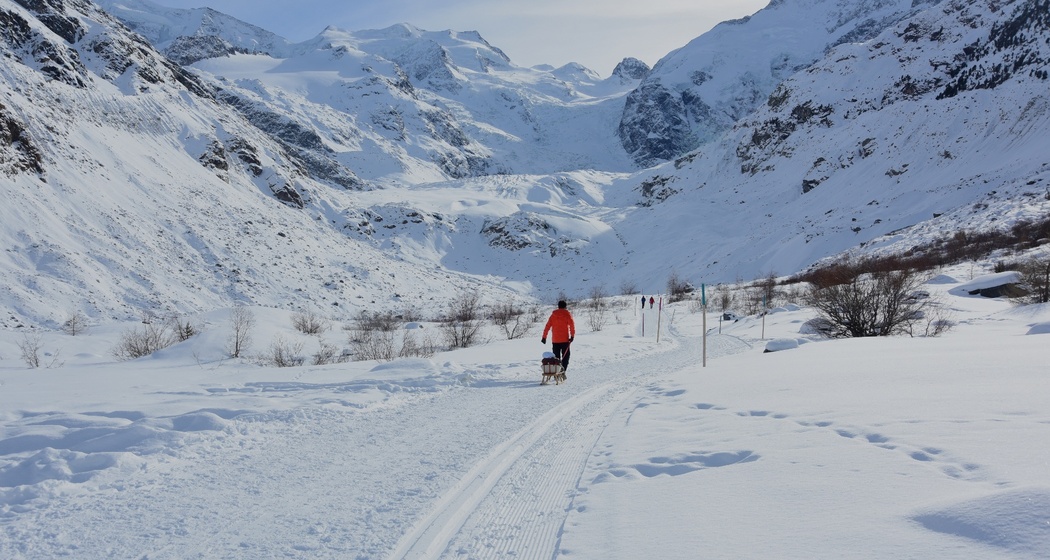 Morteratsch (SchweizMobil Route 314) (oua_23436378_image)