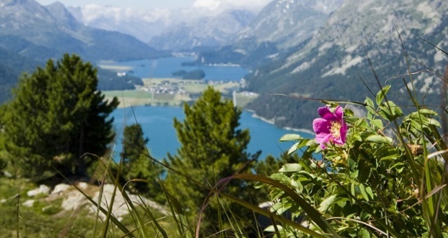Aussicht auf die Seenplatte