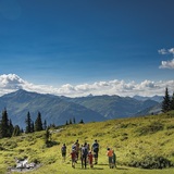 Madrisa