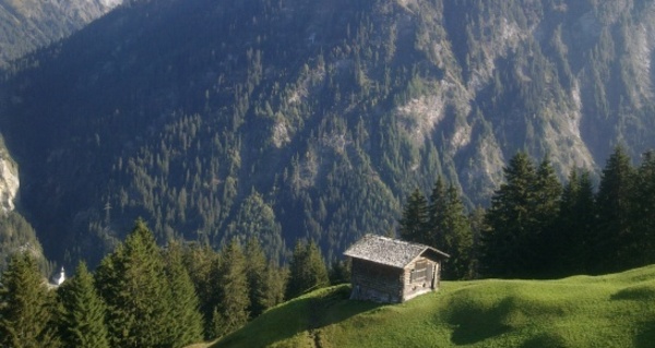 Safien Platz - Zalön - Hof - Safien Platz (oua_23438234_image)