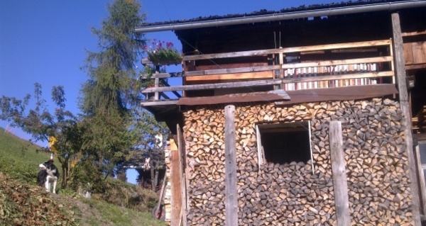 Safien Platz - Zalön - Hof - Safien Platz (oua_23438235_image)