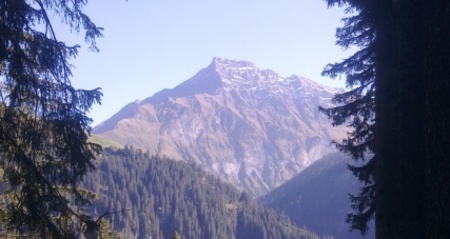 Safien Platz - Zalön - Hof - Safien Platz (oua_23438236_image)