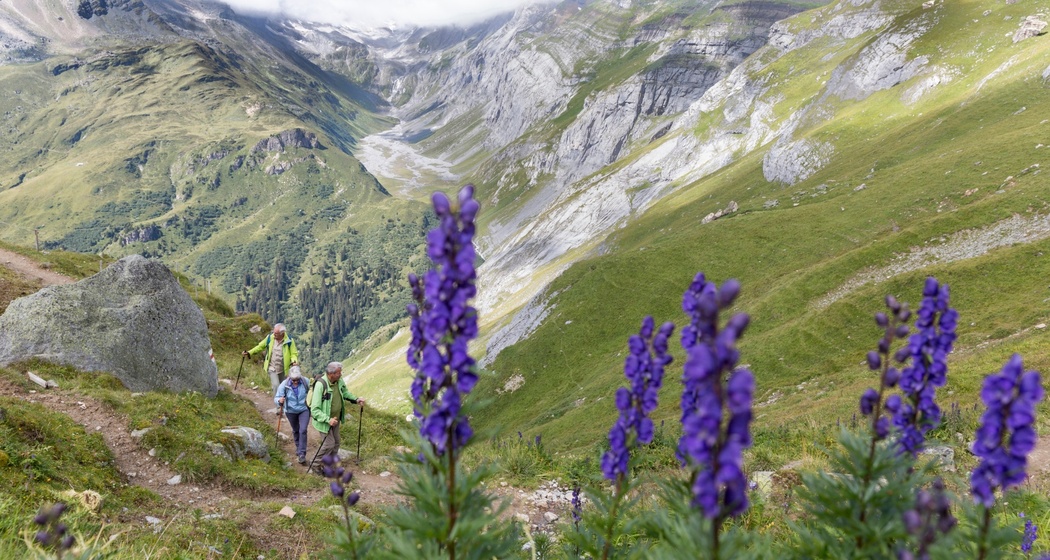 Wanderweg Richtung Bifertenhütte