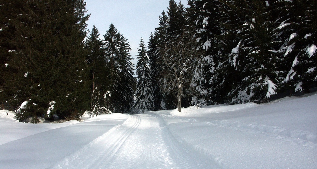 Langlaufloipe Migliè / Plaun sut