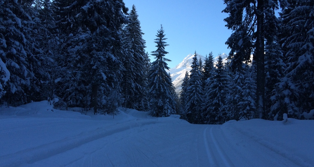 Langlaufloipe Migliè / Plaun sut