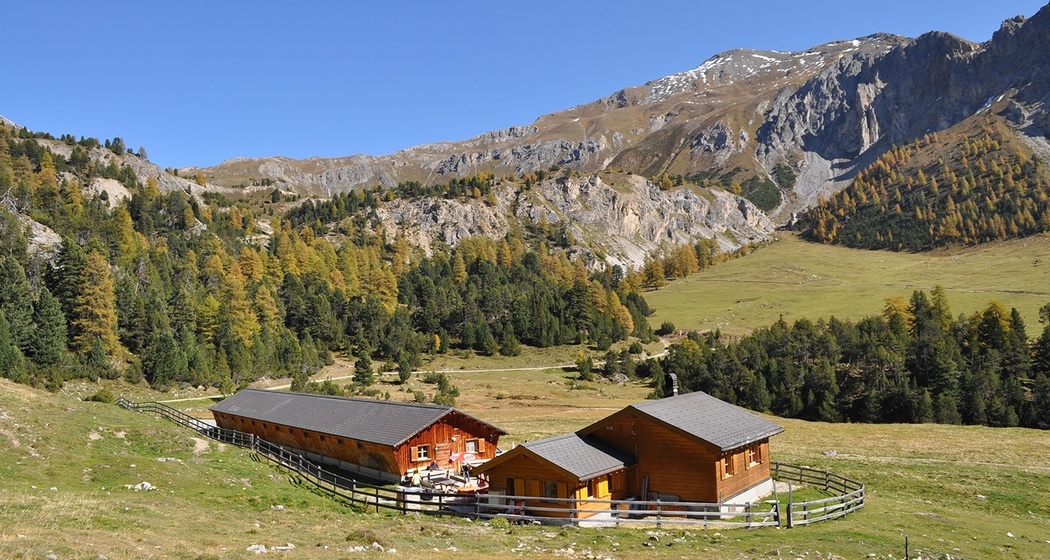 Nationalpark Panoramaweg Etappe 3: S-charl – Süsom Givè [SchweizMobil-Nr. 45] (oua_23546716_image)