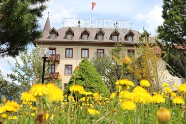 Hotel Schweizerhof (oua_23547550_image)