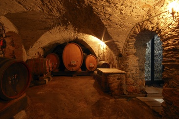 Ritterhaus Chasa de Capol, Historische Gaststätte & Weinkellerei (oua_23549012_image)