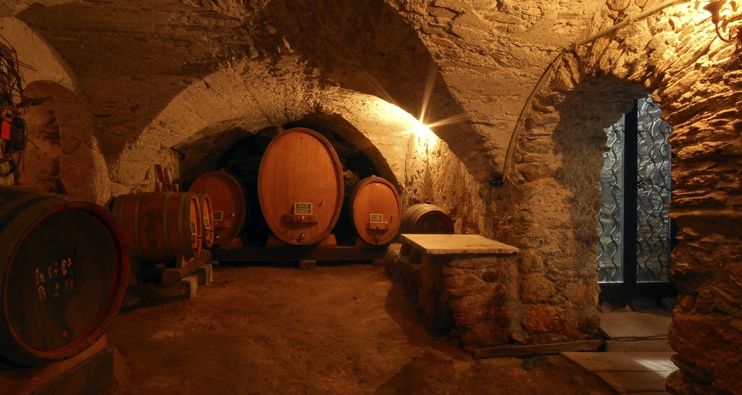 Ritterhaus Chasa de Capol, Historische Gaststätte & Weinkellerei (oua_23549012_image)