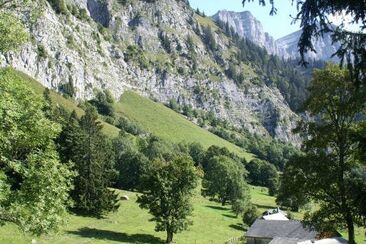 Terreno con planggen di base e supporto di sicomoro