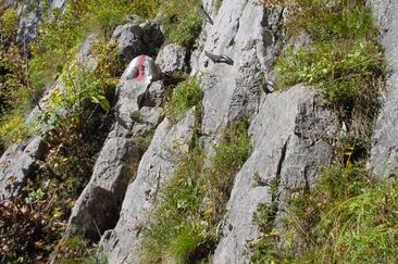 Entrée Sitzstein, très belle section d’escalade