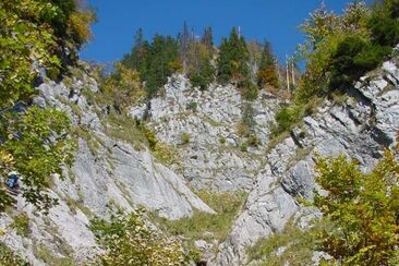 Sitzbachtobel, belle forêt de gorges