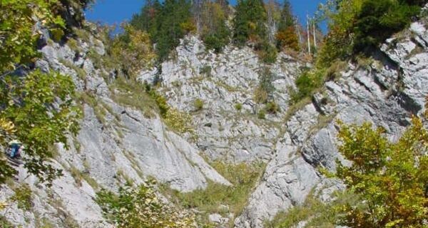 Sitzbachtobel, schöner Schluchtwald