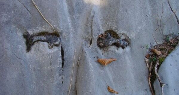 Feuersteine im Quintnerkalk