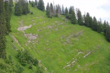 Foro muto, spesso con camoscio