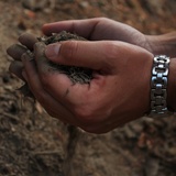 Erde rinnt durch die Finger