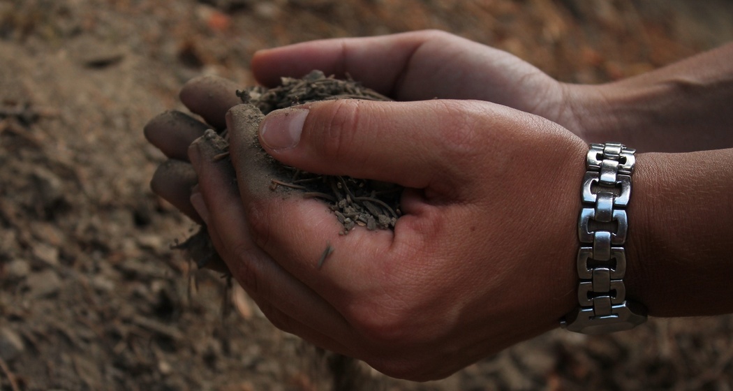 Erde rinnt durch die Finger