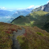 Blick hinunter ins Rheintal