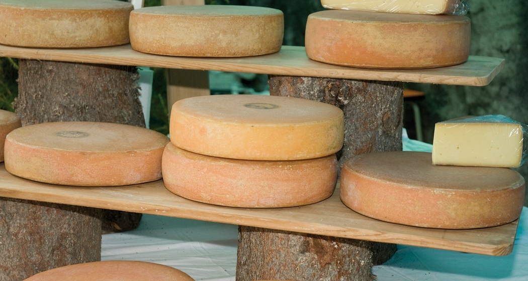 Aussichtsreiche Wanderung von Klosters Dorf über Hochstelli nach Sankt Antönien (oua_23840855_image)