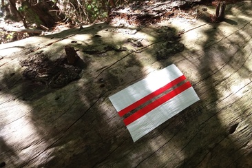 Der funkelnde Federstrich (oua_23950671_image)