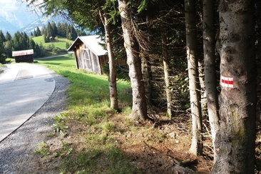 Inslas d'uaul - Isole della Foresta