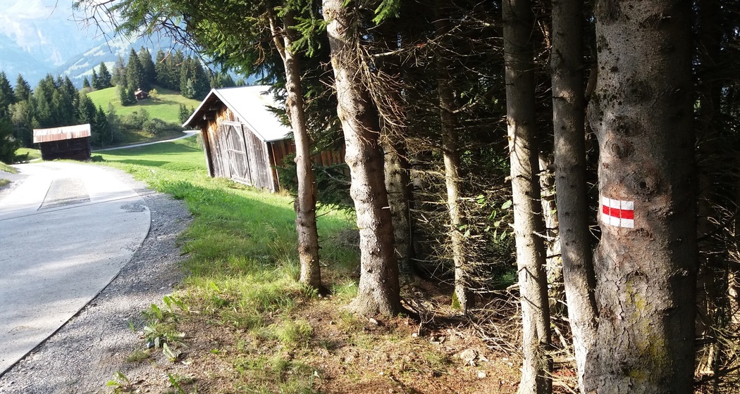 Inslas d’uaul - Waldinseln