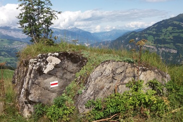 Ils praus pussents - Die mächtigen Wiesen (oua_23950958_image)