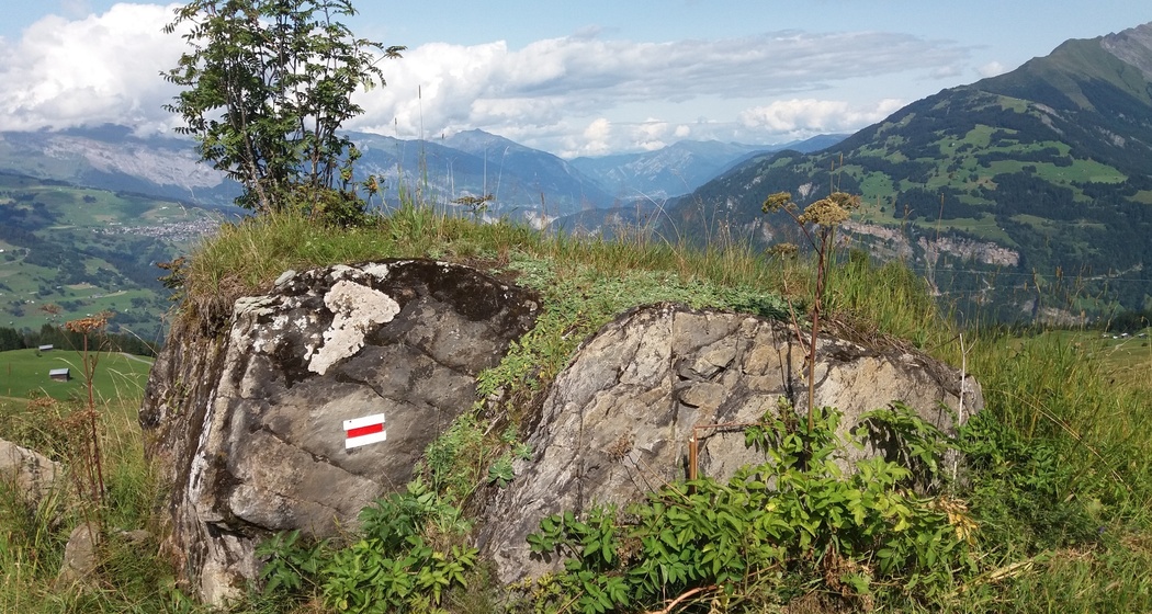 Ils praus pussents - Die mächtigen Wiesen (oua_23950958_image)