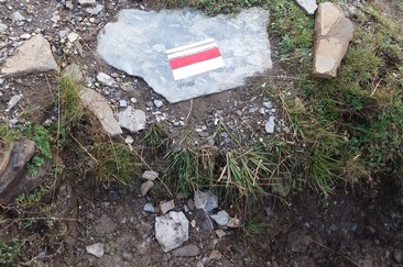 Melli horizonts - Tausend Horizonte (oua_23951017_image)