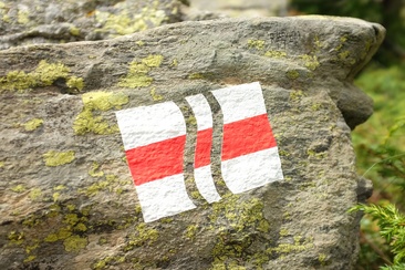 Lo scroscio del Palü (oua_23951080_image)