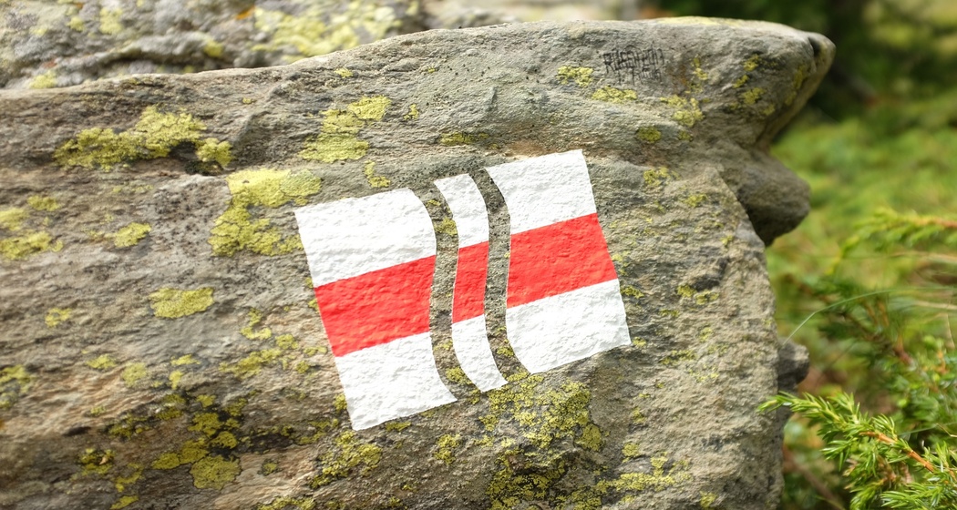 Lo scroscio del Palü - Das Rauschen des Palü (oua_23951080_image)