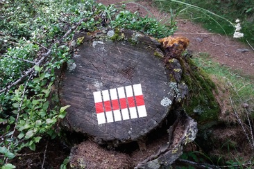 Le colonne verdi - Die grünen Säulen (oua_23951096_image)