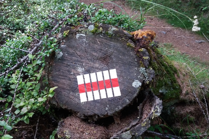 Le colonne verdi (oua_23951096_image)