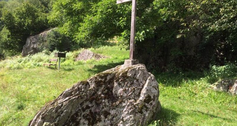 Lesebank Plaun Saltè, Danis