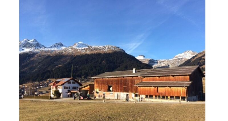 Menaschi Puril Cathomen (Bauernhofglace) (oua_23982044_image)