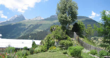 Burgruine Marmarola, Brigels (oua_23982506_image)