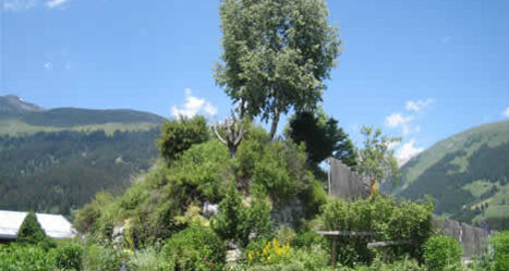 Burgruine Marmarola, Brigels (oua_23982507_image)