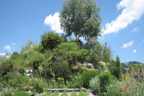 Burgruine Marmarola, Brigels (oua_23982508_image)