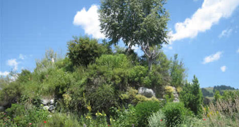 Burgruine Marmarola, Brigels (oua_23982508_image)