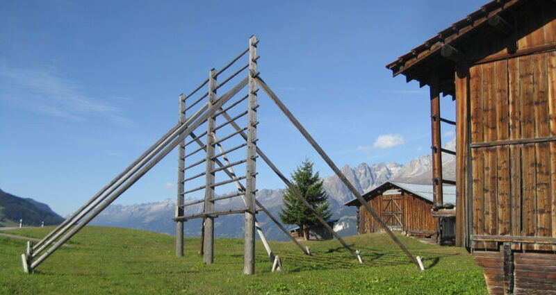 Kornhiste Chummenbühl Obersaxen