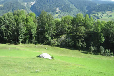 Ruine Grep Ault, Zignau (oua_23982607_image)