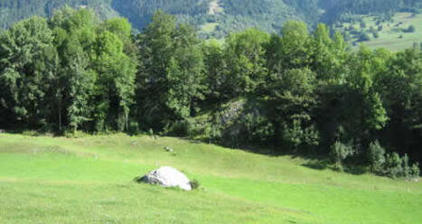 Ruine Grep Ault, Zignau (oua_23982607_image)