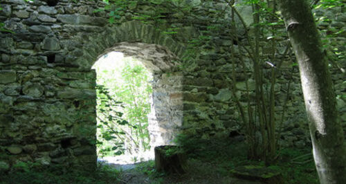 Burgruine, Valendas (oua_23982626_image)