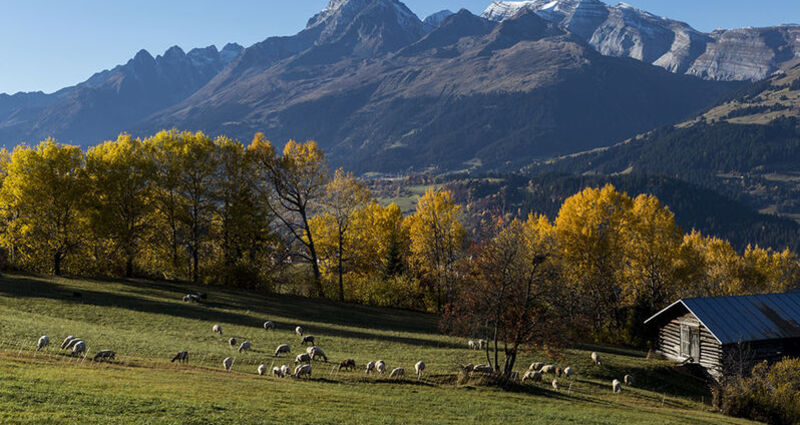Panorama Camping, Surcuolm