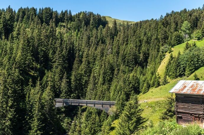 Punt Val Mulin, Lumbrein (oua_23982922_image)