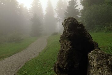 Uaul da Sogn Carli / Escherwald, Morissen (oua_23982929_image)