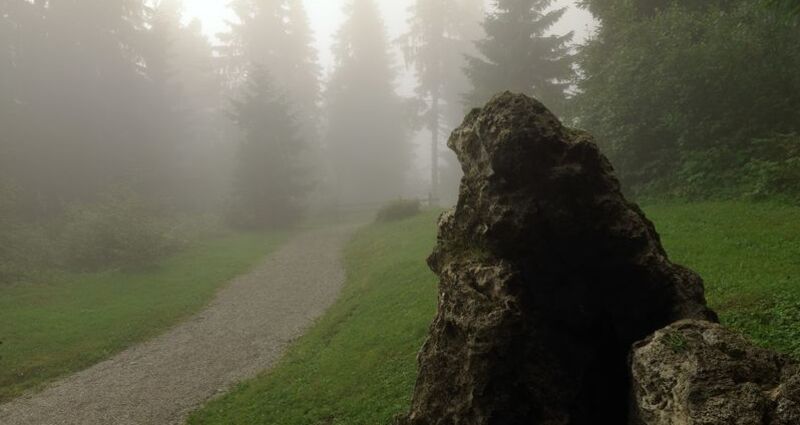 Uaul da Sogn Carli / Escherwald, Morissen (oua_23982929_image)