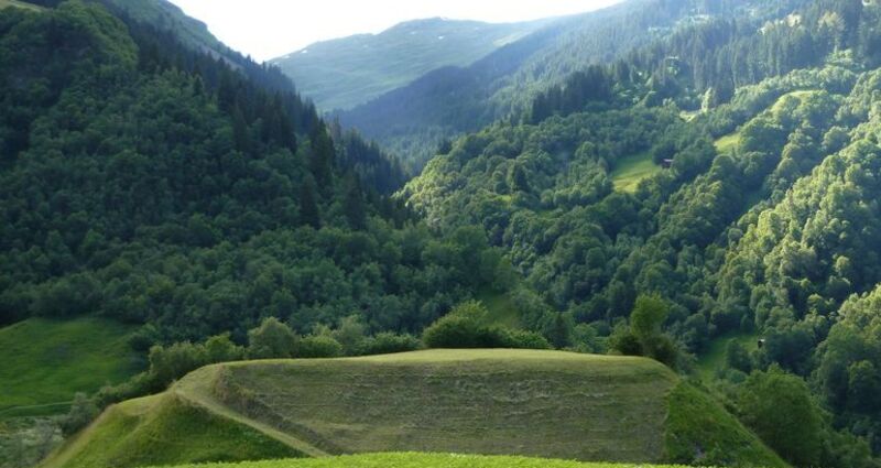 Bronzezeitlicher Hütel Crestaulta