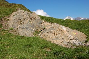 Kommunikationsstein von Salischina, Vrin (oua_23983215_image)