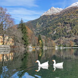 Lago di Poschiavo